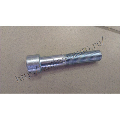 Болт пальца суппорта (Higer) короткий М16*1,5 L80-10,9