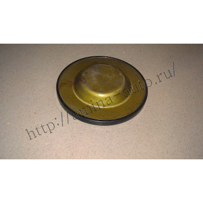КПП 17Q21-00030-D заглушка промвала *